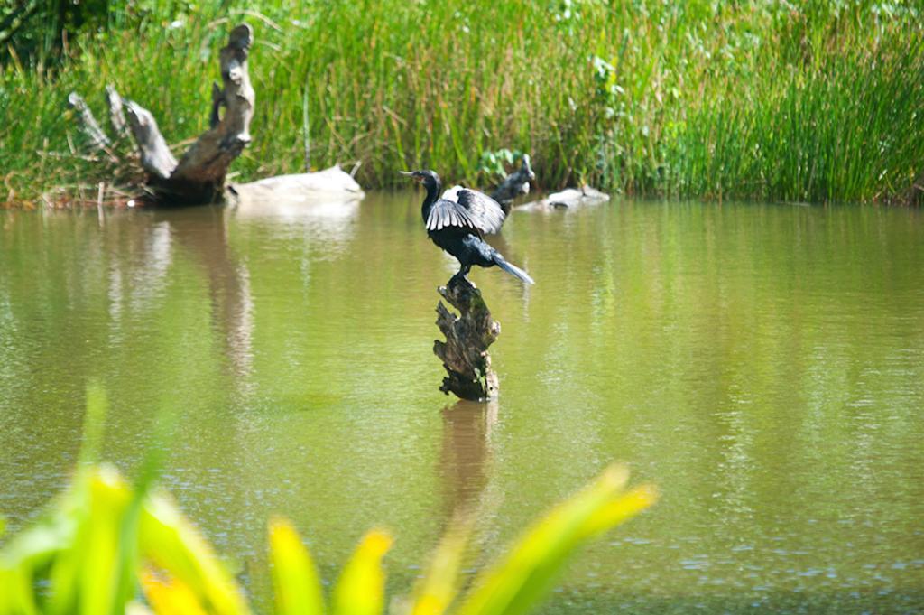 Duwa Villas อาฮานกามา ภายนอก รูปภาพ