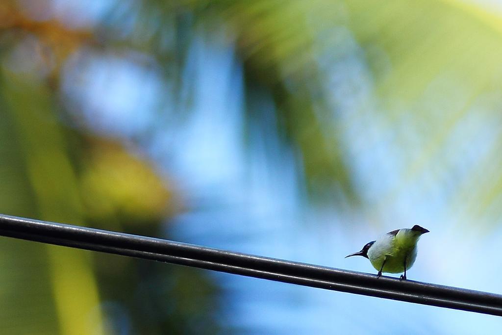 Duwa Villas อาฮานกามา ภายนอก รูปภาพ